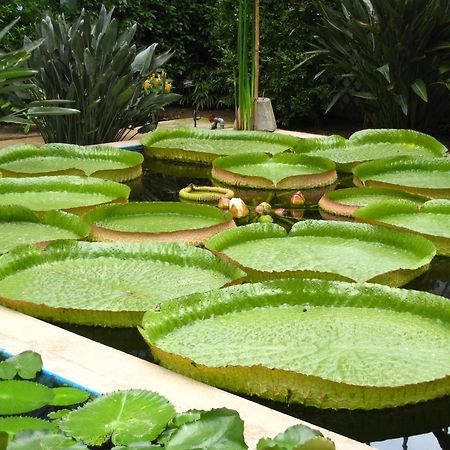 Casa Vacanze La Formica Verbania Zewnętrze zdjęcie